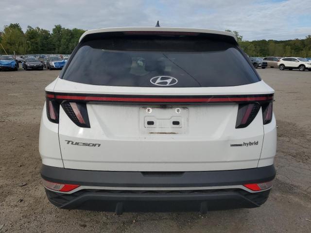 2022 HYUNDAI TUCSON SEL CONVENIENCE KM8JFCA18NU035571