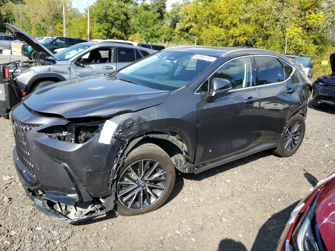 LEXUS NX 250 BASE