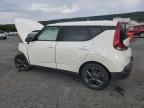 Lot #3312626177 2021 KIA SOUL LX