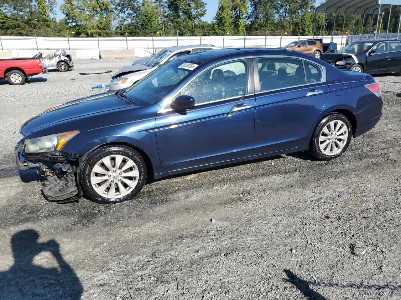 HONDA ACCORD EXL