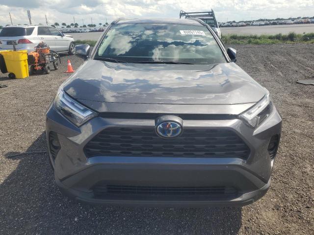 2024 TOYOTA RAV4 XLE - 4T3RWRFV8RU162402