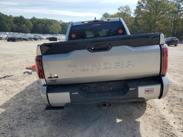 2024 TOYOTA TUNDRA CREWMAX PLATINUM - 5TFNA5DB1RX190343
