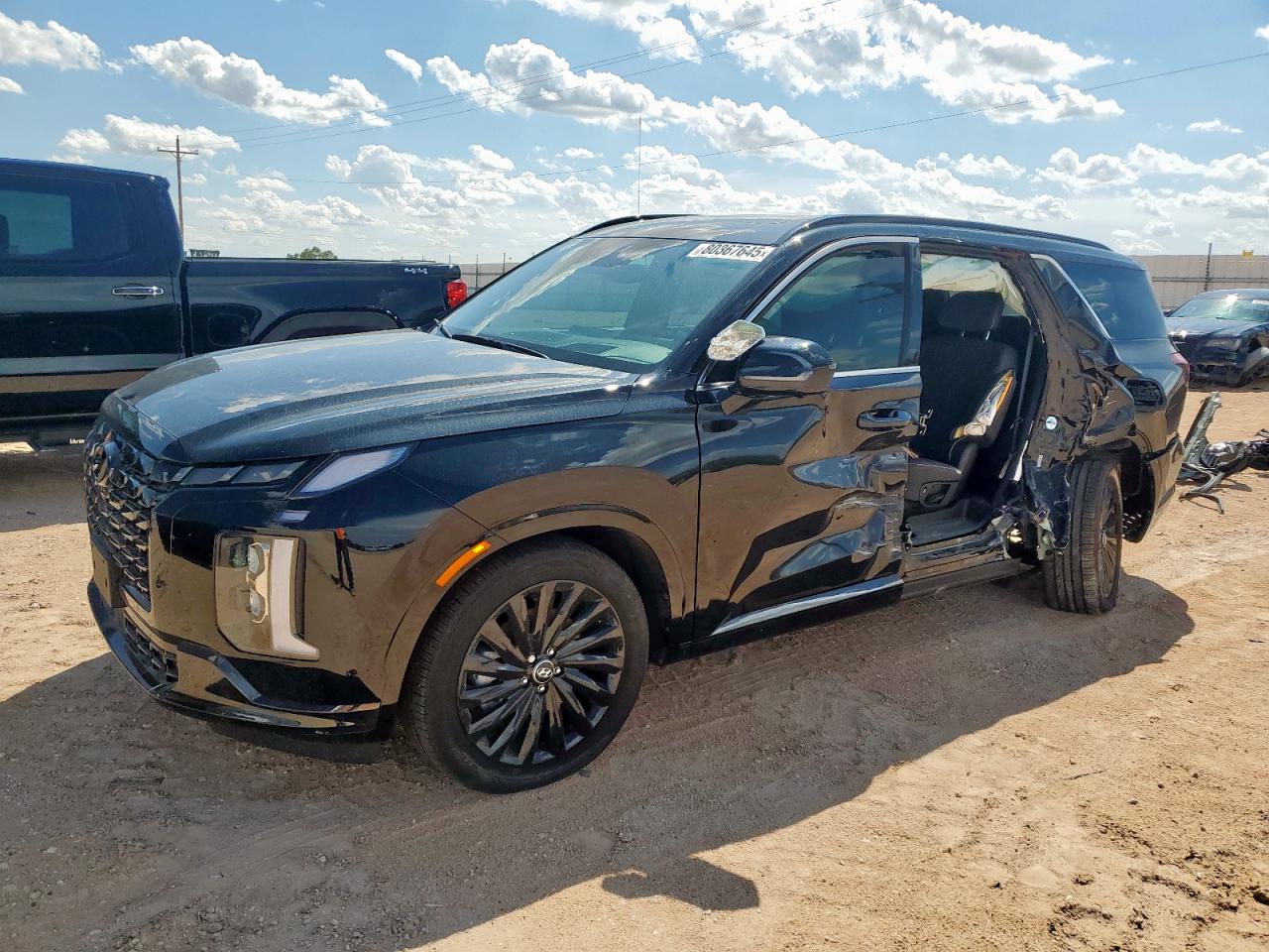 HYUNDAI PALISADE CALLIGRAPHY