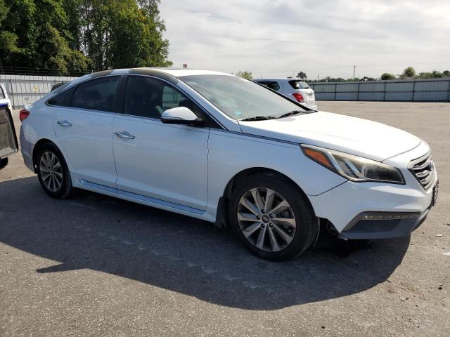 2017 HYUNDAI SONATA SPO 5NPE34AF1HH441867