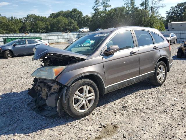 Global Auto Auctions: 2010 HONDA CRV