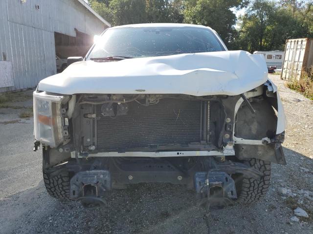 2021 FORD F150 SUPER 1FTEW1EB2MFB49856