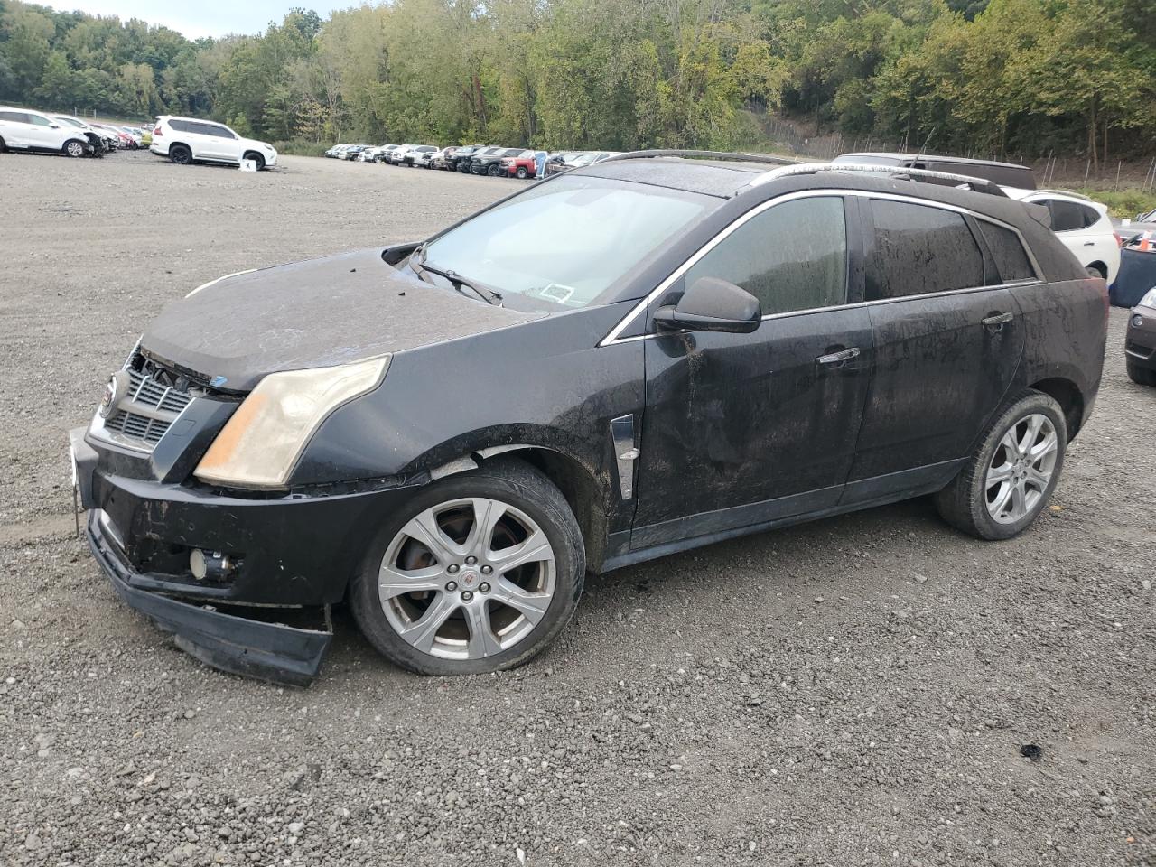 CADILLAC SRX PERFORMANCE COLLECTION