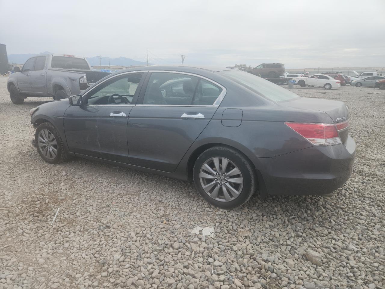 HONDA ACCORD EXL