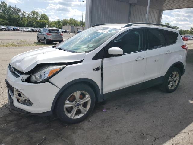 2014 FORD ESCAPE SE - 1FMCU0GX6EUB25181