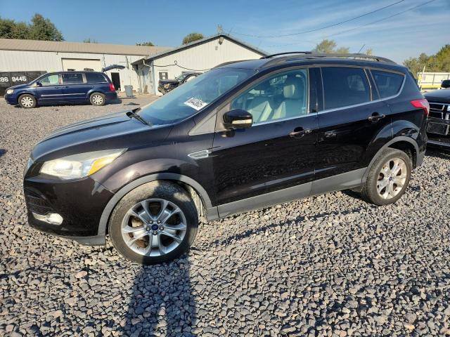 Global Auto Auctions: 2013 FORD ESCAPE SEL