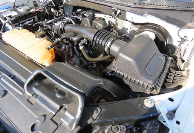 2019 FORD F150 - 1FTMF1CB1KKC24162
