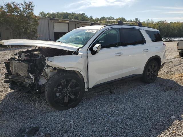 Global Auto Auctions: 2024 HYUNDAI PALISADE X