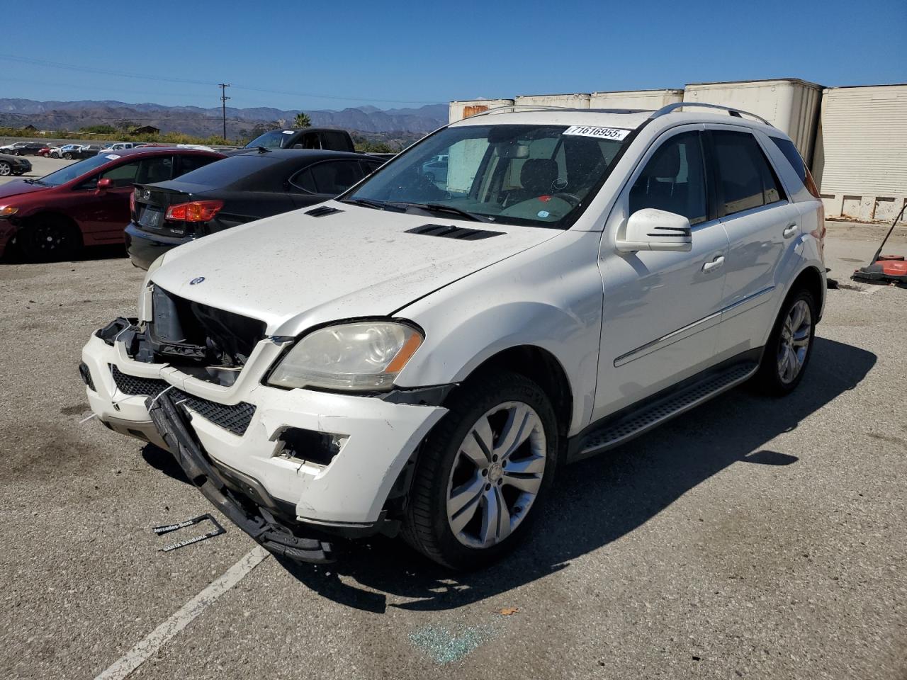 Lot #3278568944 2011 MERCEDES-BENZ ML 350