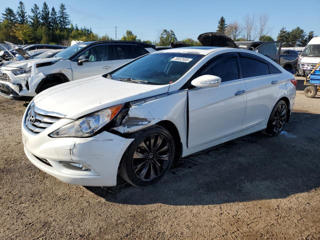 2011 HYUNDAI SONATA SE - 5NPEC4AB2BH185744