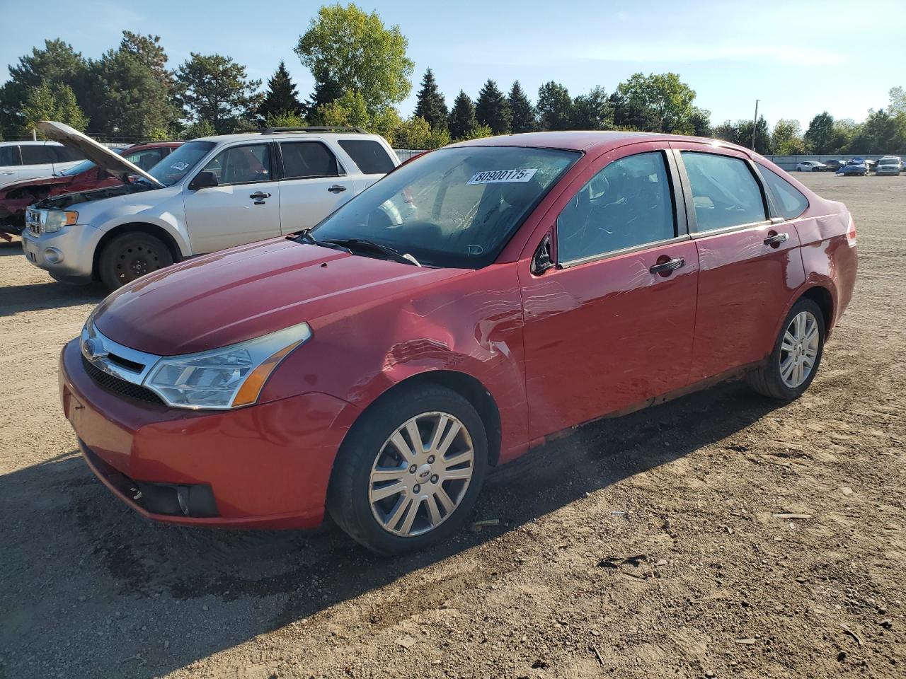 FORD FOCUS SEL
