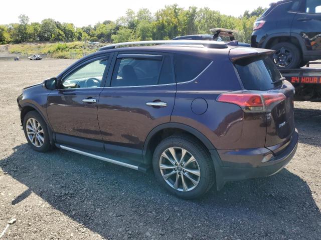 2017 TOYOTA RAV4 LIMITED 2T3DFREV0HW662127
