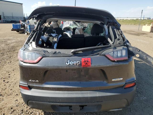 2019 JEEP CHEROKEE L 1C4PJMCX7KD150064