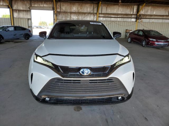 2023 TOYOTA VENZA LE JTEAAAAH6PJ142154