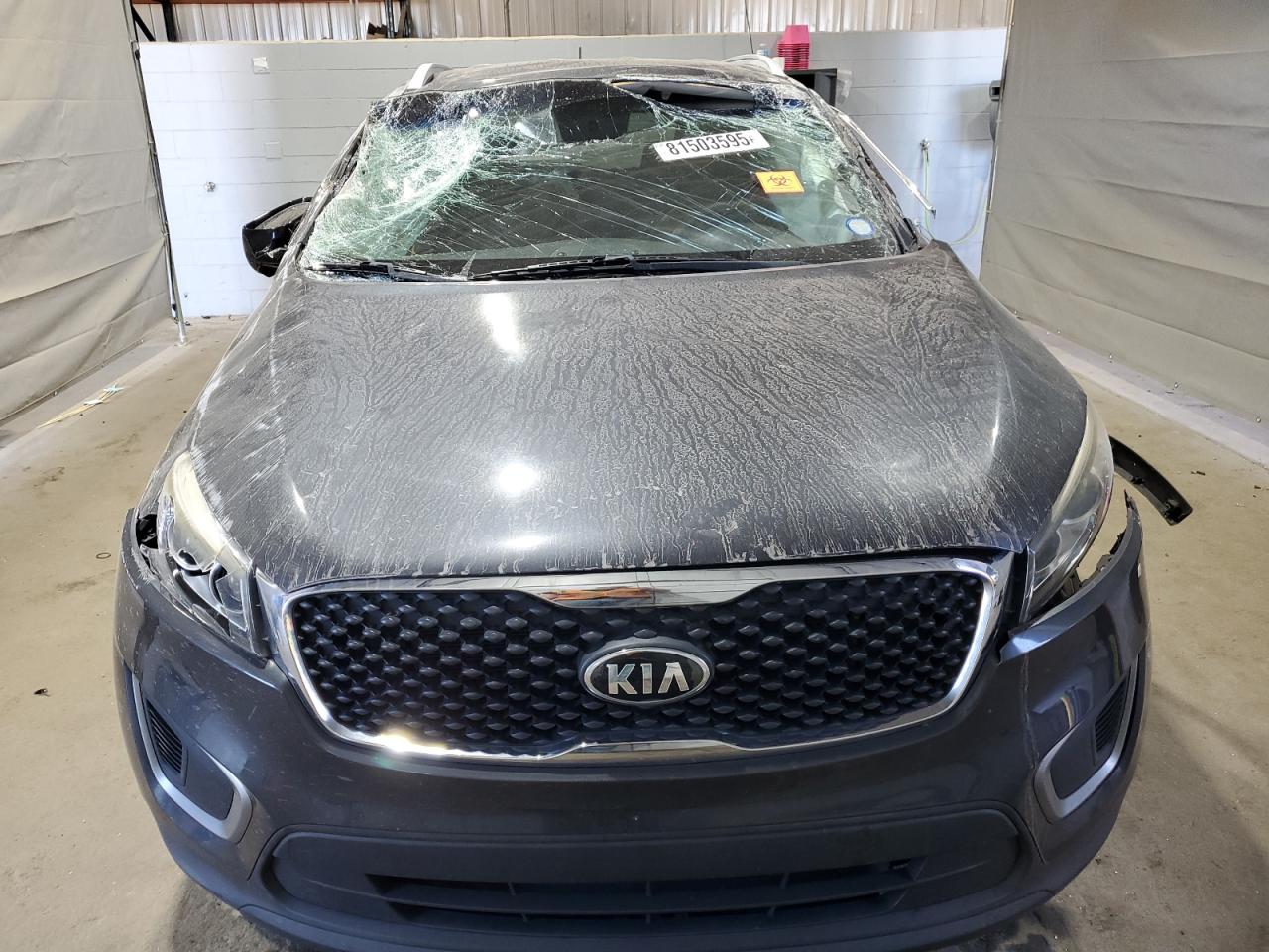 Lot #3301830329 2016 KIA SORENTO LX