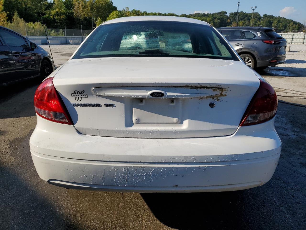 Lot #3234395080 2006 FORD TAURUS SE