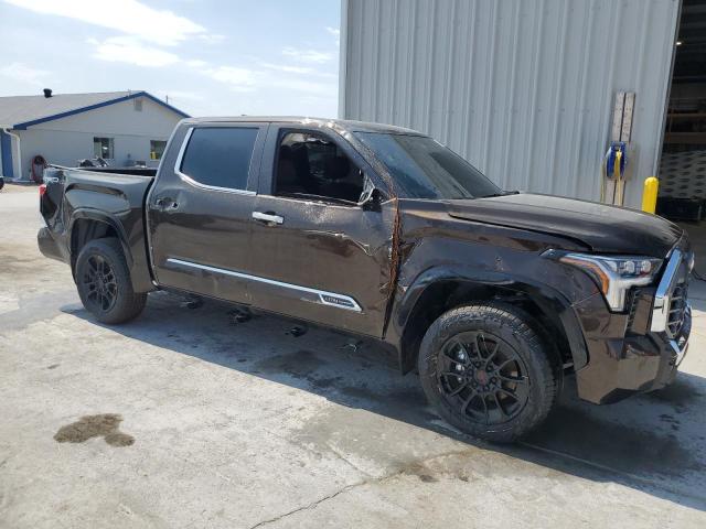 2025 TOYOTA TUNDRA CREWMAX PLATINUM 5TFMA5DB2SX315626