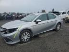 2021 TOYOTA CAMRY LE - 4T1C31AK7MU031069
