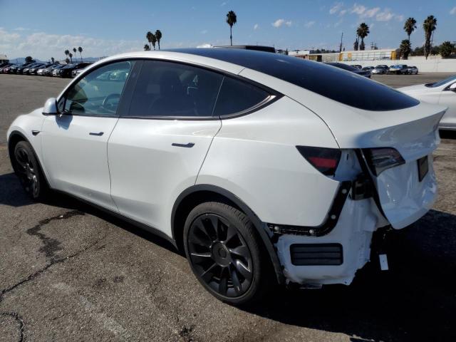 2024 TESLA MODEL Y 7SAYGDEE1RF064317