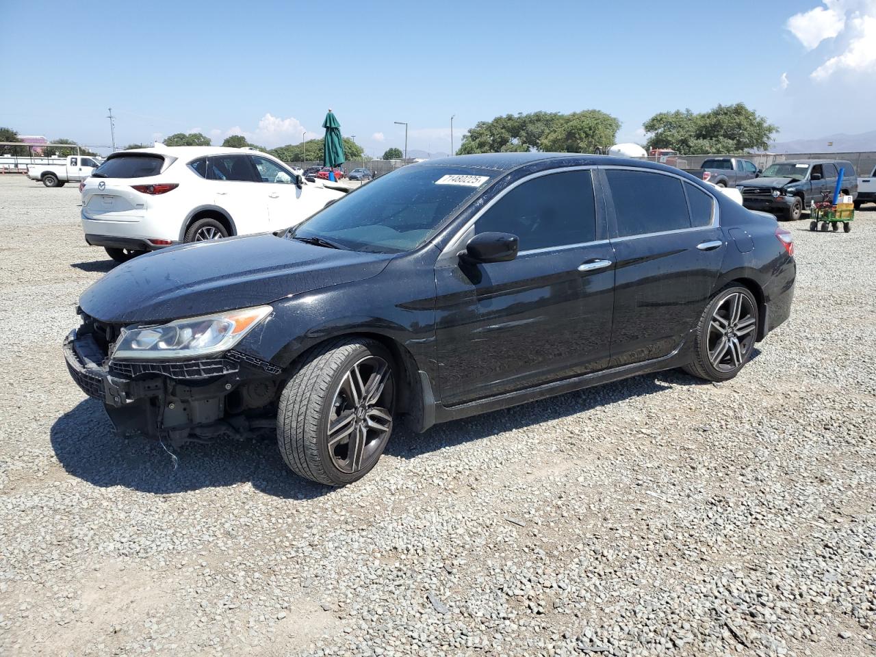 HONDA ACCORD SPORT