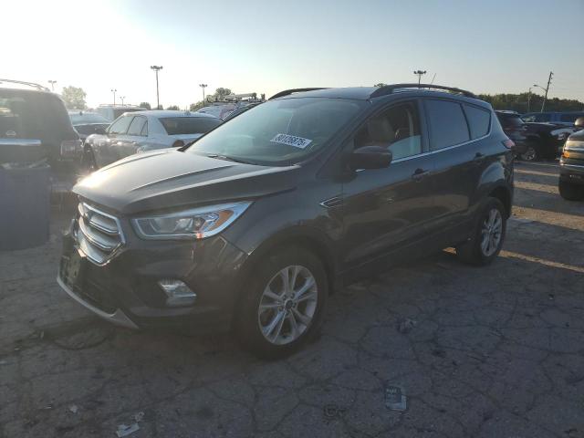 Global Auto Auctions: 2019 FORD ESCAPE SEL