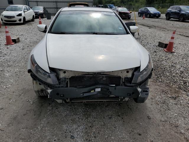 2010 HONDA ACCORD EXL - 1HGCS2B81AA006215