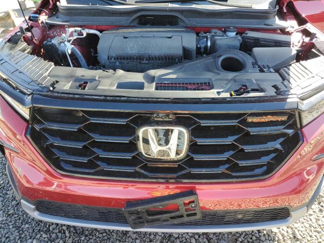 2025 HONDA PILOT TRAI 5FNYG1H68SB024192