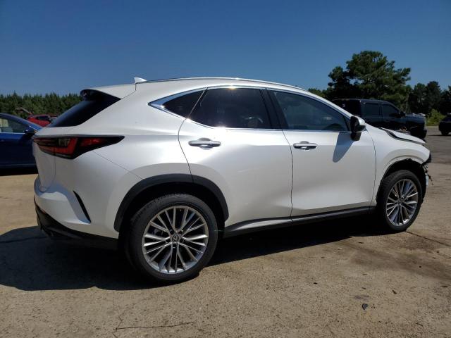 2022 LEXUS NX 350H JTJGKCEZ1N5002641