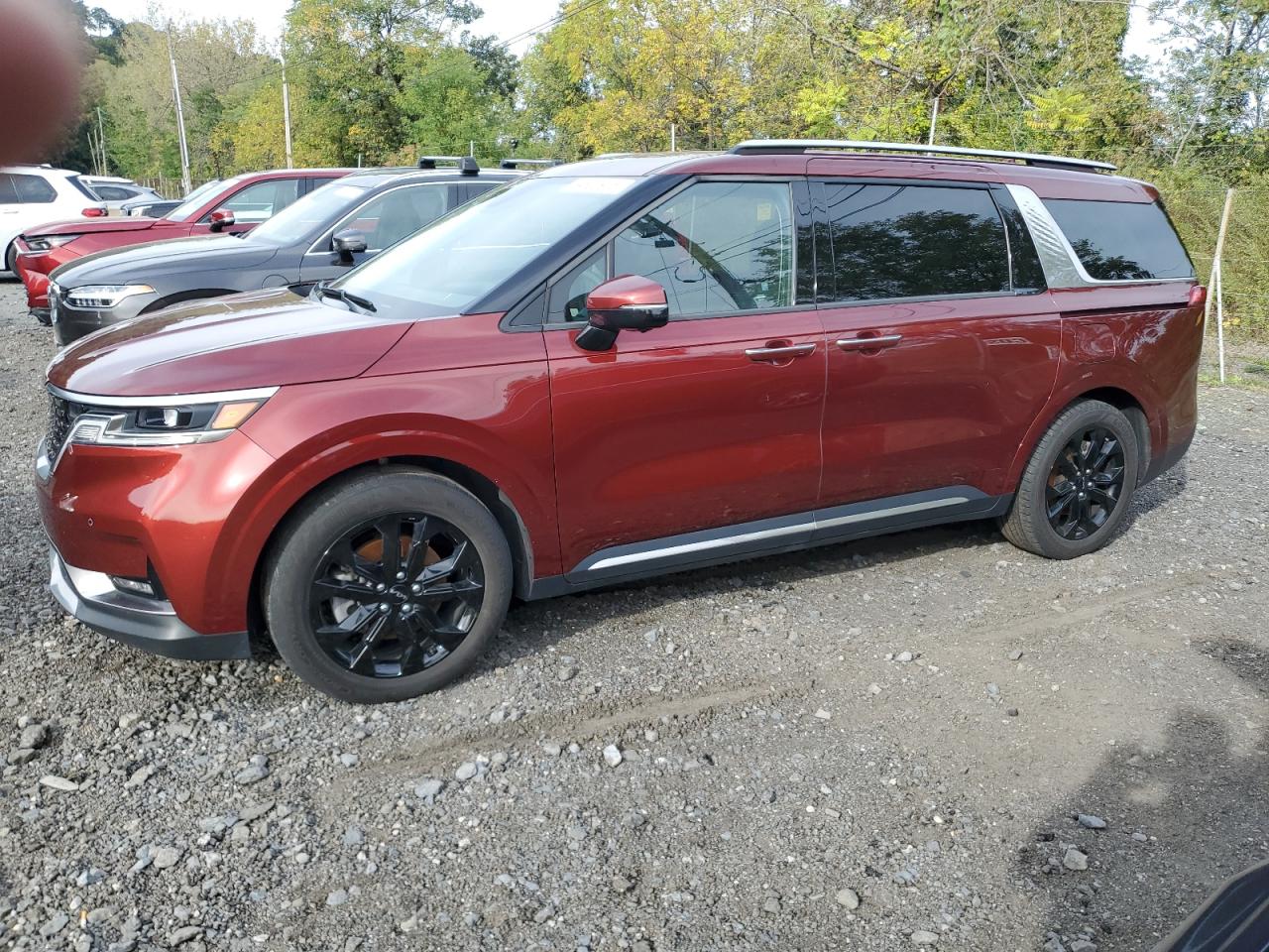 KIA CARNIVAL SX
