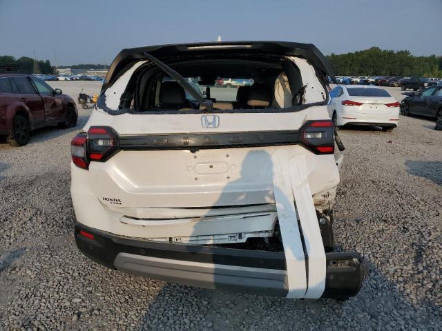 2024 HONDA PILOT EXL 5FNYG2H46RB007227