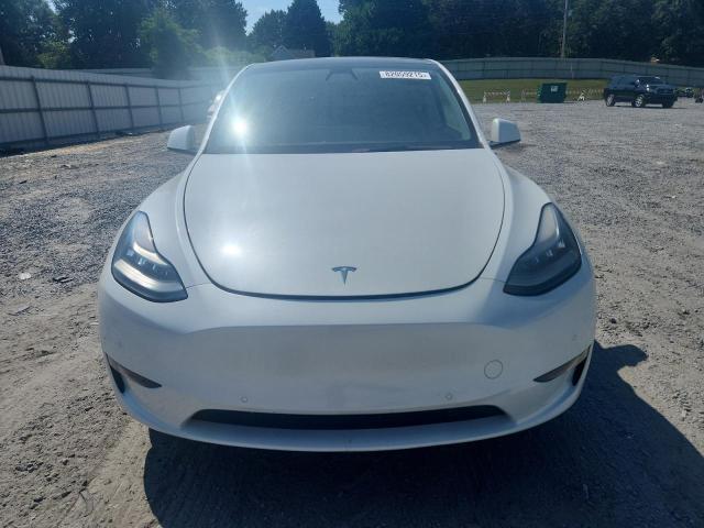 2021 TESLA MODEL Y - 5YJYGDEE2MF175206