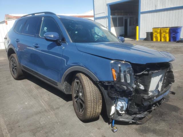 2025 KIA TELLURIDE - 5XYP5DGCXSG656162