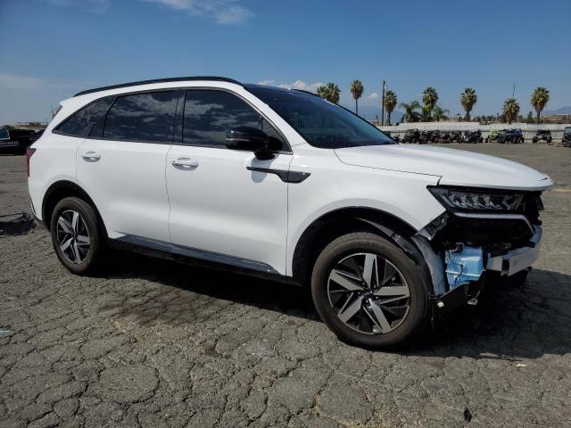 2023 KIA SORENTO S - 5XYRL4LC8PG174219