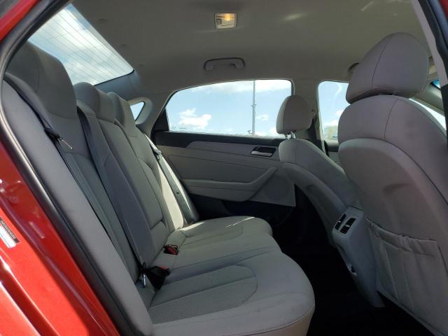2019 HYUNDAI SONATA LIM 5NPE34AF5KH813010
