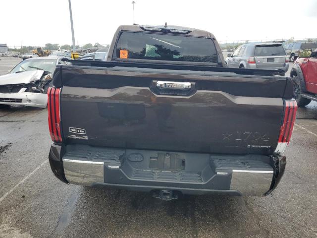 2025 TOYOTA TUNDRA CRE 5TFMC5DB4SX094119