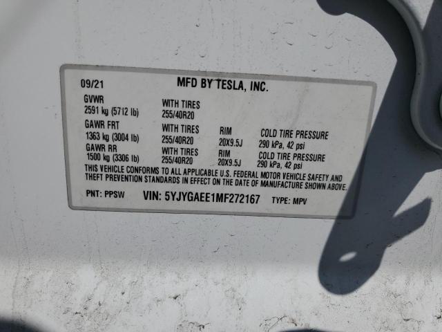 2021 TESLA MODEL Y #3302659048