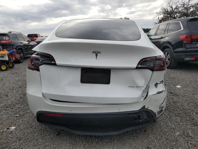 2020 TESLA MODEL Y 5YJYGDEE3LF023952