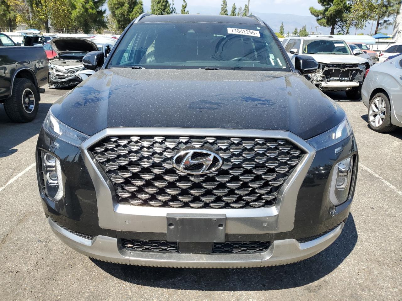 HYUNDAI PALISADE CALLIGRAPHY