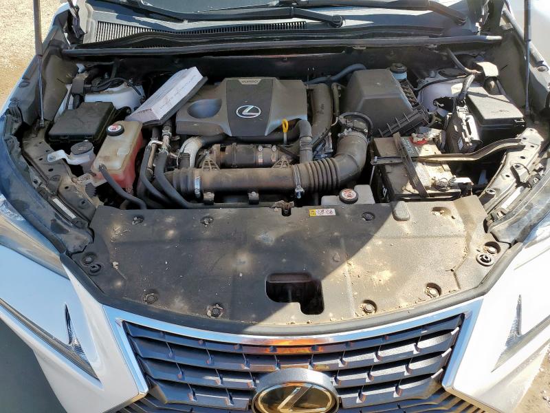 2021 LEXUS NX 300 BAS JTJDARBZ7M5029404