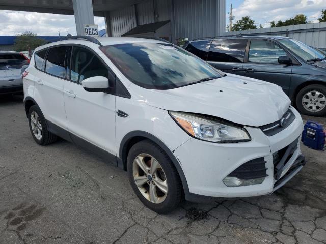 2014 FORD ESCAPE SE - 1FMCU0GX6EUB25181