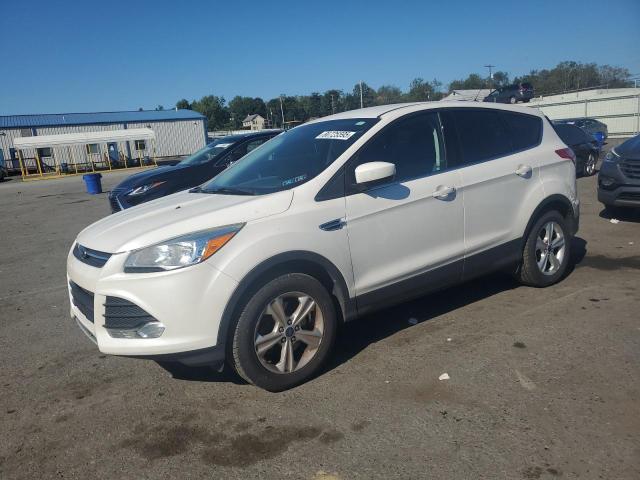 Global Auto Auctions: 2014 FORD ESCAPE SE
