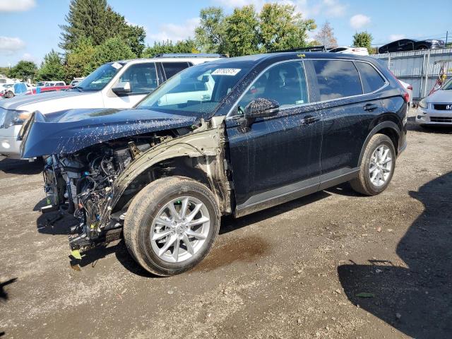 Global Auto Auctions: 2026 HONDA CR-V EX