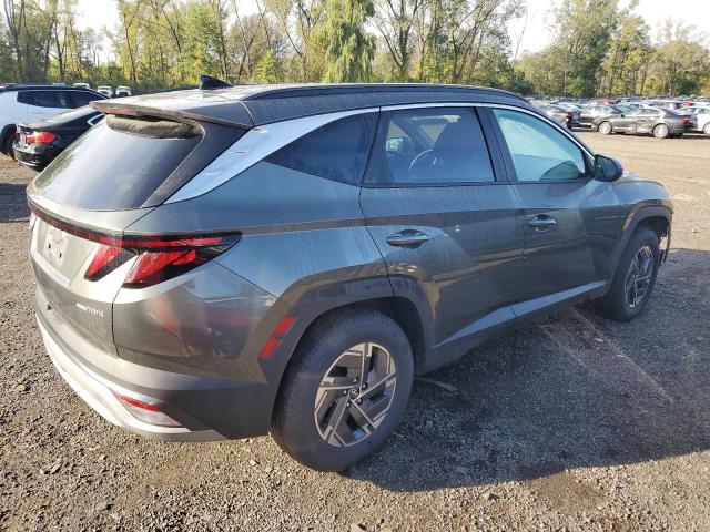 2025 HYUNDAI TUCSON BLUE KM8JBDD1XSU268697