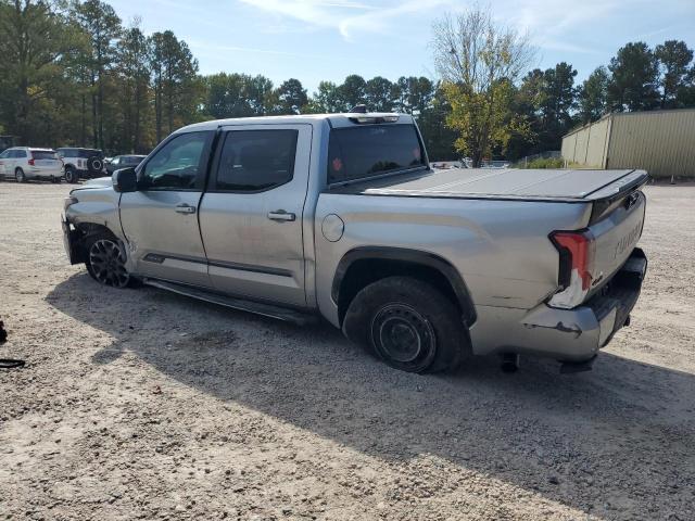 2024 TOYOTA TUNDRA CREWMAX PLATINUM - 5TFNA5DB1RX190343