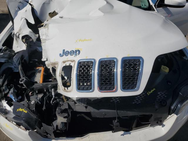 2019 JEEP CHEROKEE L 1C4PJMCB5KD334925