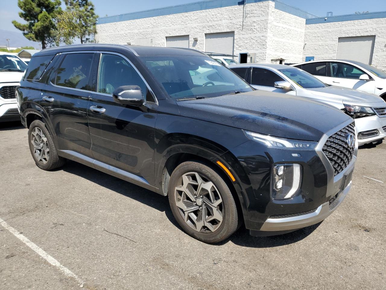 HYUNDAI PALISADE CALLIGRAPHY